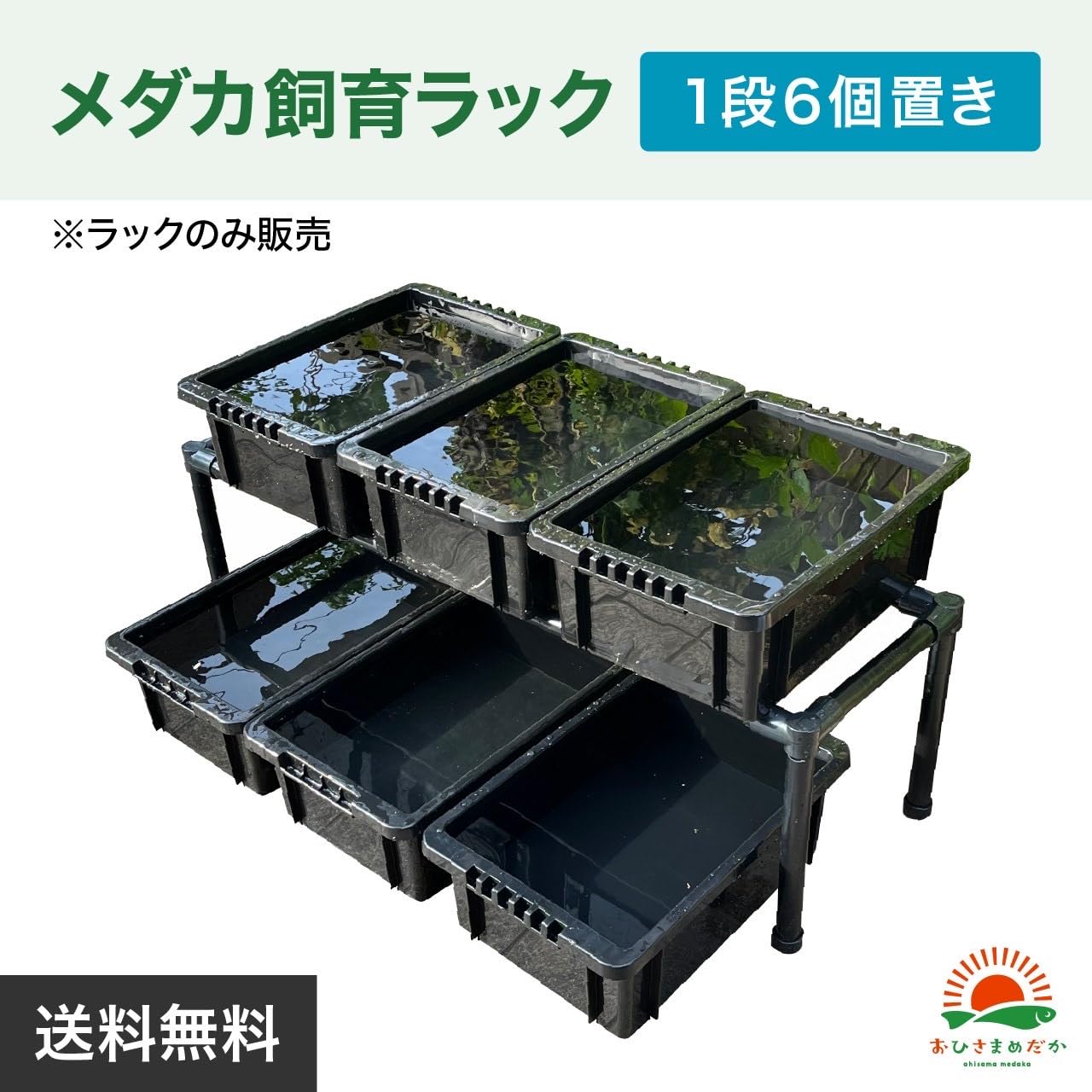 材料高騰の為残りわずか　メダカラック　めだか棚　ご希望サイズ！　めだか　メダカ Amazon | おひさまめだか メダカ飼育ラック ブラック メダカ棚 1段8個